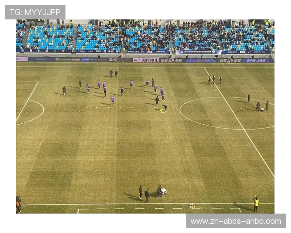 泰达中超联赛赛程：天津泰达队在中超联赛中的赛程与比赛预测